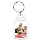 Собачка Филя