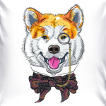 Собака хипстер Акита Ину