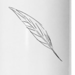 Для писателя