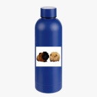 Термобутылка