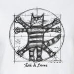 Кот да Винчи