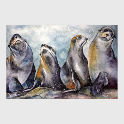 Постер с принтом Тюлени. Акварель