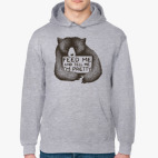 Толстовка худи