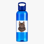 Прозрачная спортивная бутылка