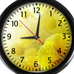 Желтые лепестки