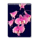 Тетрадь Орхидея