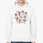 Толстовка худи