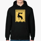 Дом Баратеонов