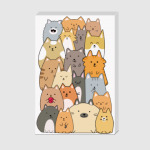 Смешные коты (funny cats)