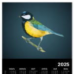 Птица Синица