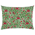 КЛЮКВА НА БОЛОТЕ