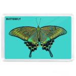 Бабочка Парусник - Махаон