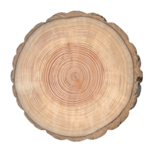 Подушка с принтом Дерево