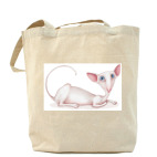 Холщовая сумка