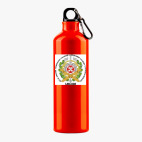 Металлическая бутылка 700 мл UV-DTF