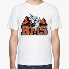 BMS