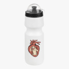 Велобутылка