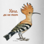 Удод, да не тот