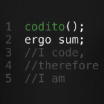 Codito ergo sum