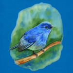 Синяя птица