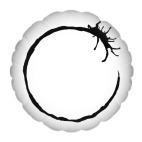 Прибытие. Язык гептаподов (Heptapod language)