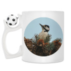 Дятел в шишках