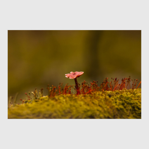 Постер с принтом Forest spirit