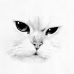 Детская футболка White Cat