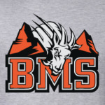Blue Mountain State