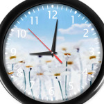 Летняя нежность