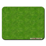 весенняя трава