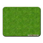 весенняя трава