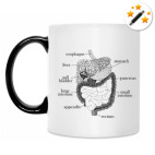 Кружка-хамелеон