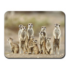 Коврик "Сурикаты"