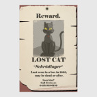 Кот шредингера