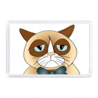  Угрюмый кот