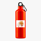 Металлическая бутылка 700 мл UV-DTF