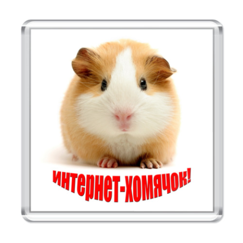Магнит с принтом  Интернет-хомячок