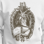 Внутренние органы