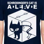 Кот Шрёдингера