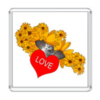 'Птица с валентинкой'