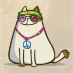 Пятничный Котик №17