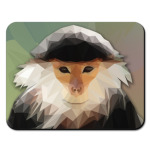 Обезьяна Зузу