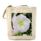 мальва, шток роза