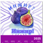 акварельный инжир