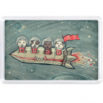 Косматые космонавты