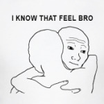 I Know That Feel Bro