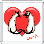 Влюбленные сиамы