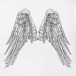  Крылья