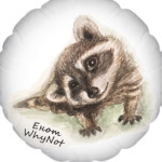 Жизнелюбивый енот